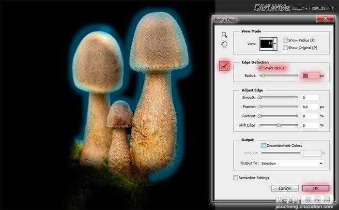 PS合成 魔幻森林中的小公主 教程30