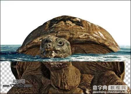 photoshop合成制作海龟岛­自然场景10