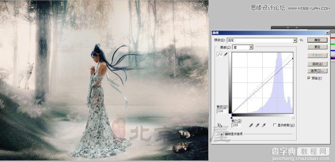 Photoshop合成在丛林中漫步的美丽仙子梦幻唯美画面3