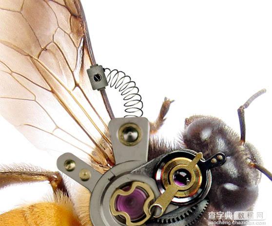 PS合成一只简单的机器蜜蜂10