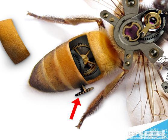 Photoshop合成非常逼真创意的机械小蜜蜂教程15