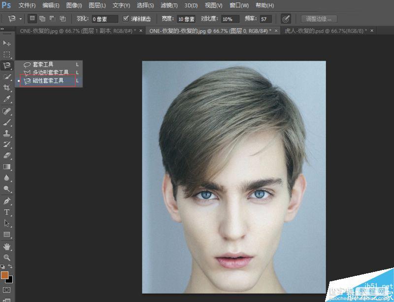 Photoshop将老虎头像和人脸完美融合在一起的效果图4