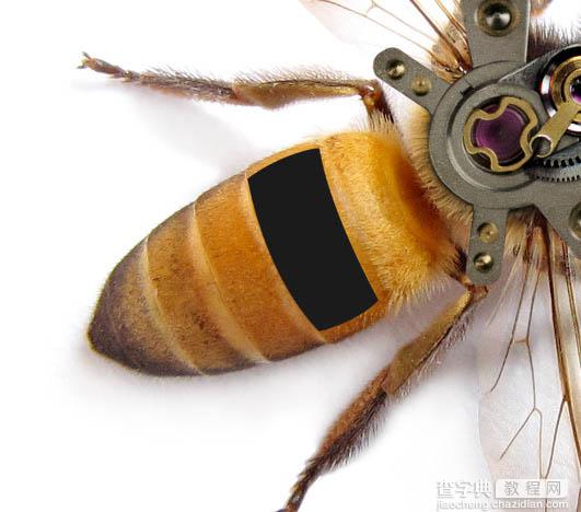 PS合成一只简单的机器蜜蜂15