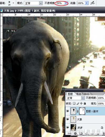 PS合成大象漫步行走在城市道路上的图片特效9
