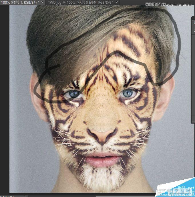 Photoshop将老虎头像和人脸完美融合在一起的效果图50