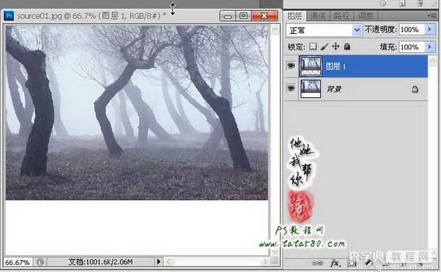 Photoshop制作寂静恐怖的丛林电影海报教程9