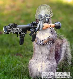 photoshop合成滑稽的松鼠士兵9