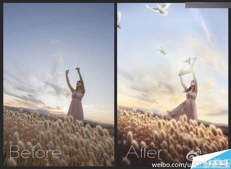 Photoshop创意合成从少女拿着的相框中飞出的鸽子场景9