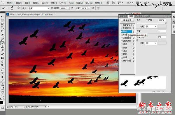 photoshop巧用笔刷给天空添加飞鸟剪影6