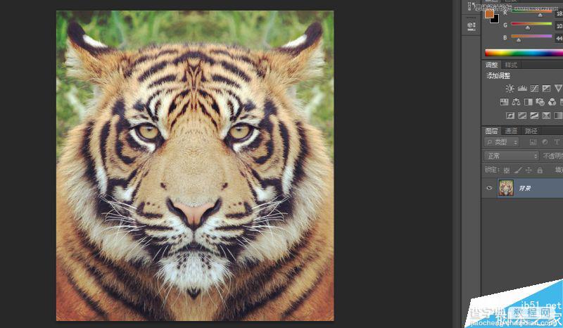 Photoshop将老虎头像和人脸完美融合在一起的效果图20