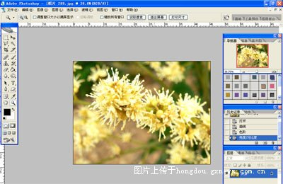 Photoshop教程:简单制作花卉日历2
