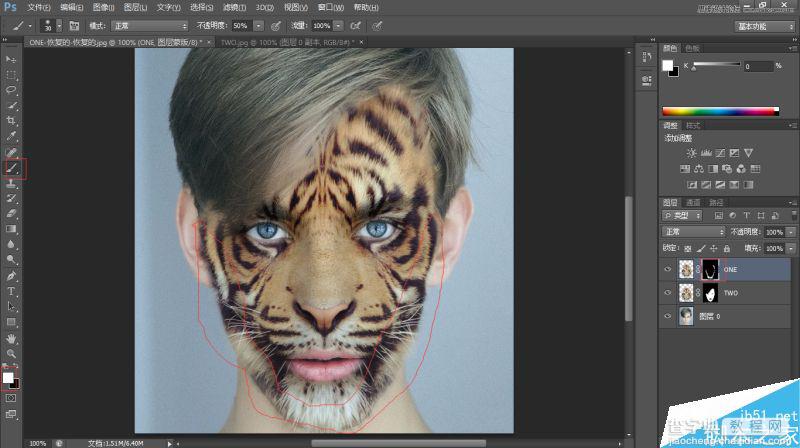 Photoshop将老虎头像和人脸完美融合在一起的效果图47