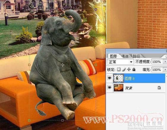 photoshop 合成沙发上看电视的小象4