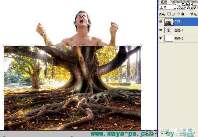 Photoshop合成吓人的树妖制作教程7