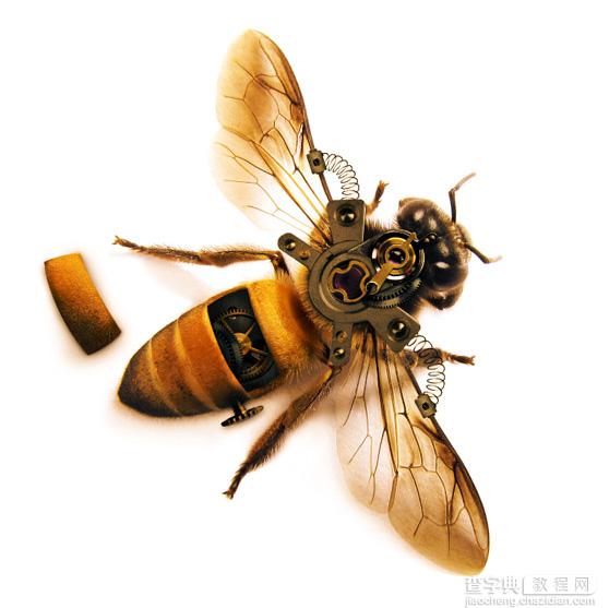 PS合成一只简单的机器蜜蜂1