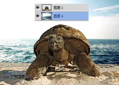 photoshop合成制作海龟岛­自然场景4