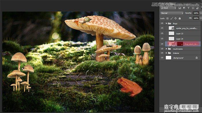 PS合成 魔幻森林中的小公主 教程65