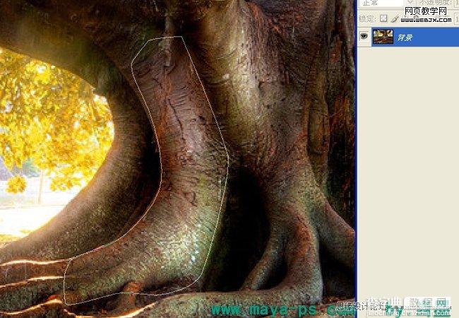 Photoshop合成吓人的树妖制作教程13