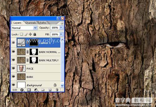 photoshop 合成恐怖的树皮脸14