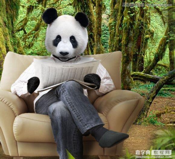用PS合成做在森林中看书的熊猫人36