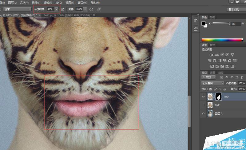 Photoshop将老虎头像和人脸完美融合在一起的效果图42
