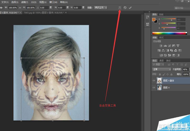 Photoshop将老虎头像和人脸完美融合在一起的效果图28