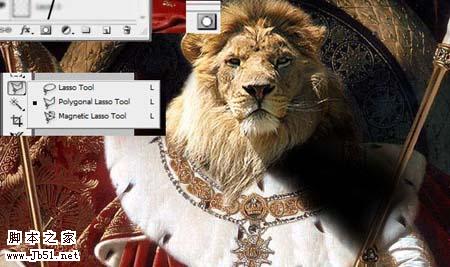 photoshop 合成创意的人身狮子王7