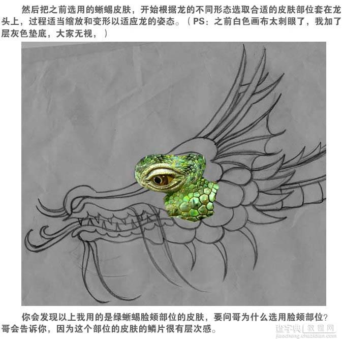 photoshop用蜥蜴或鳄鱼合成制作一条逼真的绿龙5