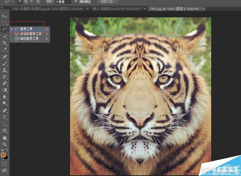 Photoshop将老虎头像和人脸完美融合在一起的效果图21