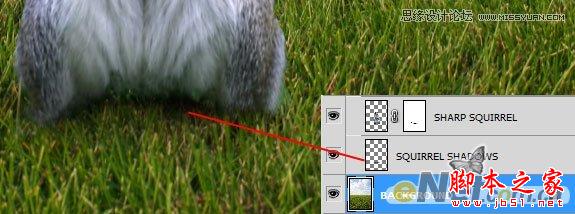 Photoshop设计打造出草原上超酷的松鼠守卫战士3