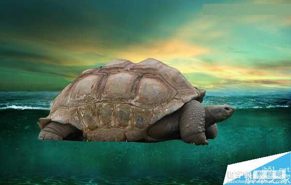 Photoshop合成海洋巨龟驮着岛在水上漂浮的效果图27