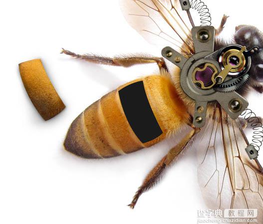 PS合成一只简单的机器蜜蜂16