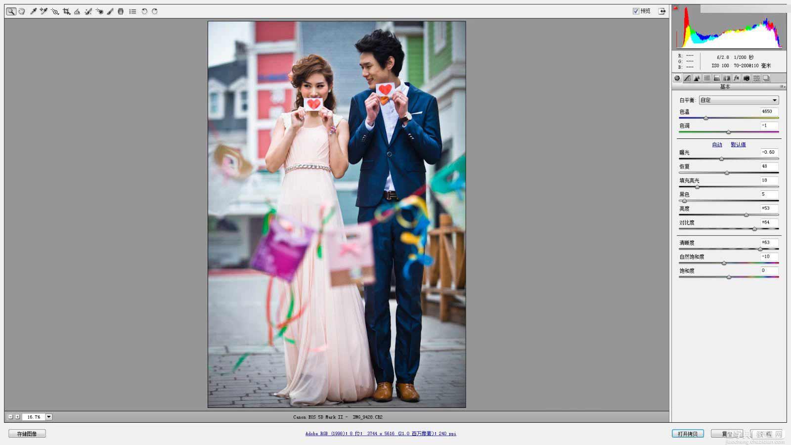 Photoshop调出韩式小清新室外婚纱照片3