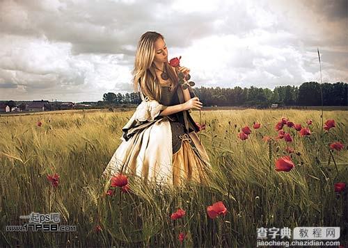 photoshop合成黎明时站在草丛手拿玫瑰美女图片1