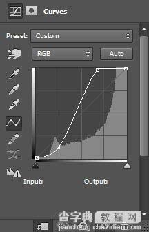 Photoshop打造抽象的艺术树叶头像效果14