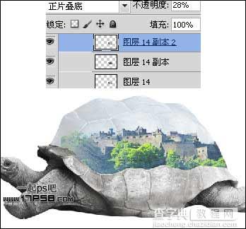 photoshop将城堡乌龟沙漠合成生态保护壁纸海报效果18