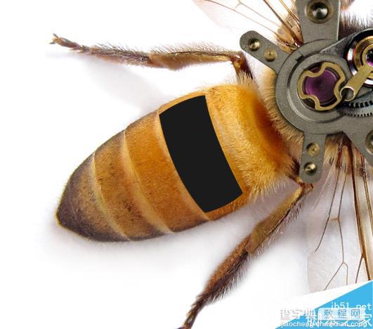 Photoshop合成非常逼真创意的机械小蜜蜂教程11