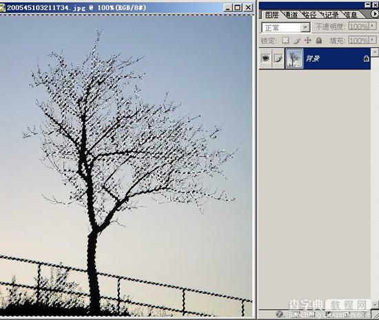 photoshop树木枝叶四种抠图的方法介绍6