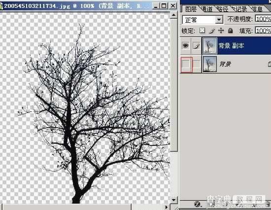 photoshop树木枝叶四种抠图的方法介绍19