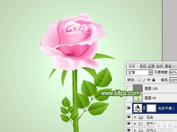 Photoshop打造鲜嫩的粉色玫瑰花28