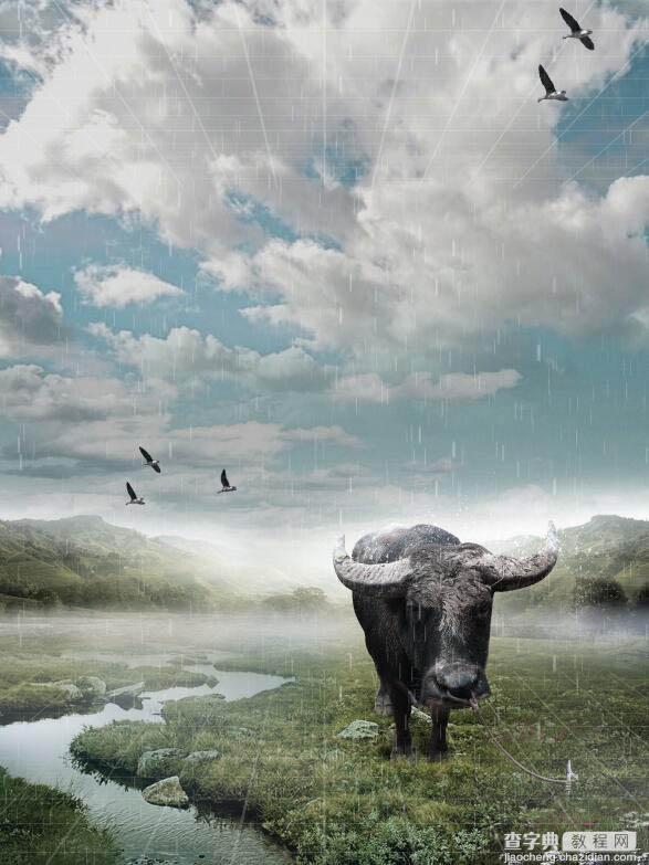 Photoshop制作雨中野外孤独行走的一头牛海报22