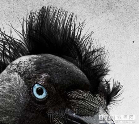 Photoshop 打造一幅黑白的乌鸦插画31