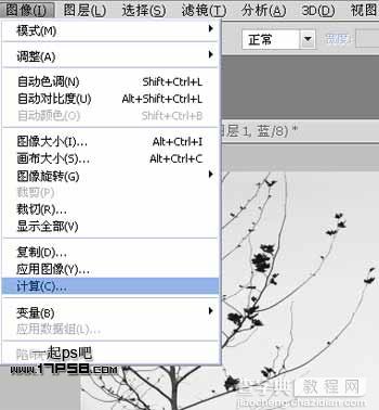 Photoshop利用通道和计算命令抠出复杂物体的实例教程4