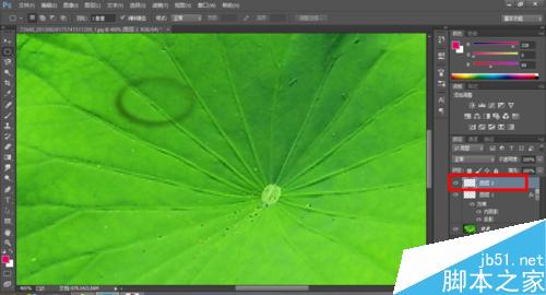 Photoshop制作荷叶上的水滴效果12