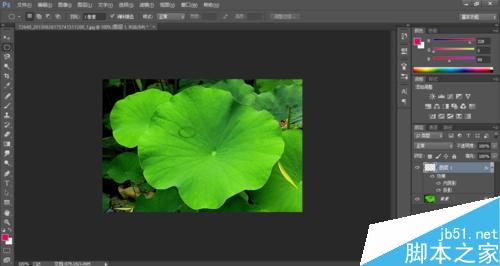 Photoshop制作荷叶上的水滴效果9