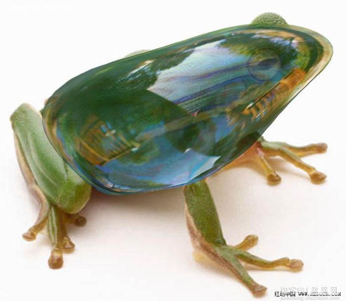 PS合成一只剔透的玻璃青蛙19