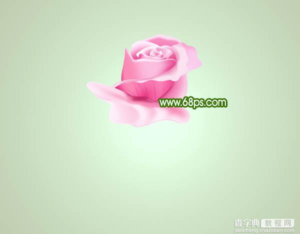 Photoshop打造鲜嫩的粉色玫瑰花22