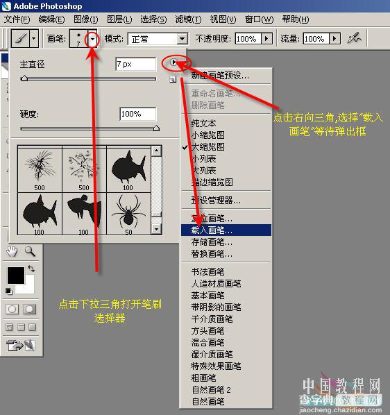 Photoshop入门:如何调用下载的外挂插件4