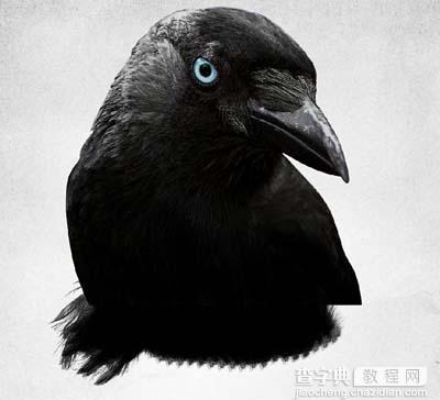 Photoshop 打造一幅黑白的乌鸦插画11