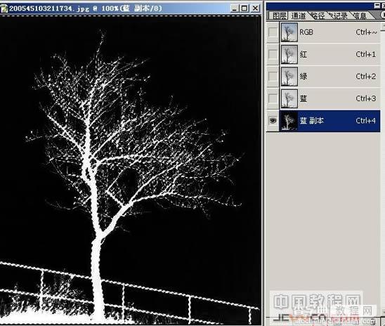 photoshop树木枝叶四种抠图的方法介绍5